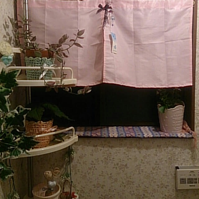 mitz_ann16さんの実例写真