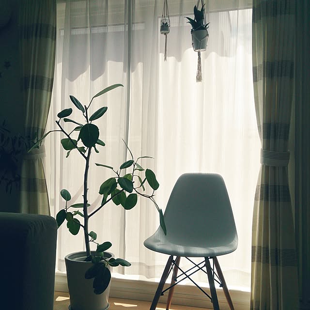 Rabiiさんの実例写真