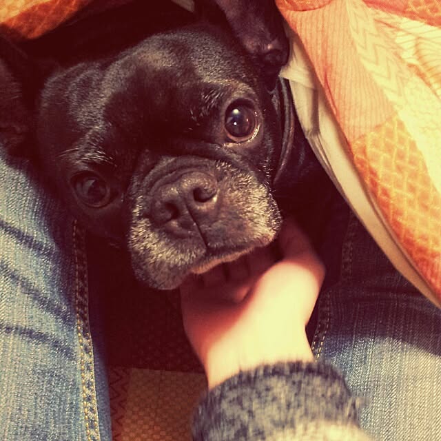 suzyさんの実例写真