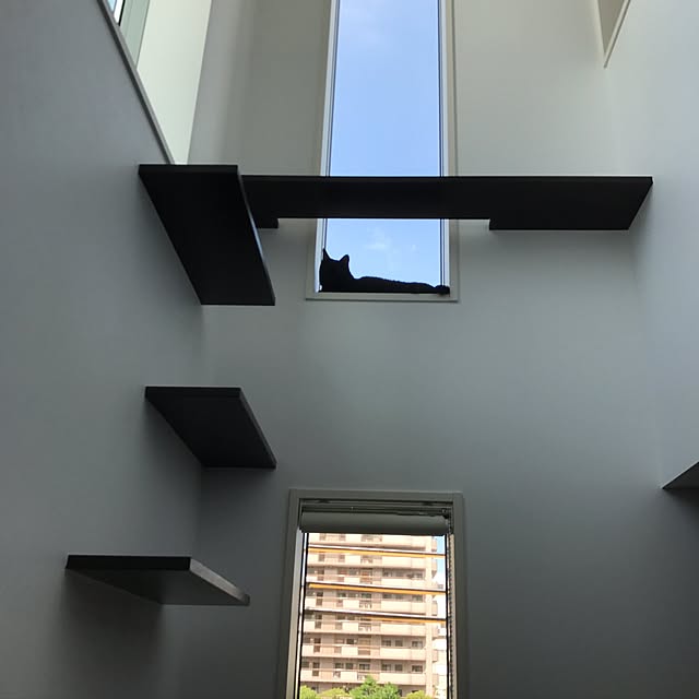 棚のインテリア実例 - 2017-07-01 18:57:33