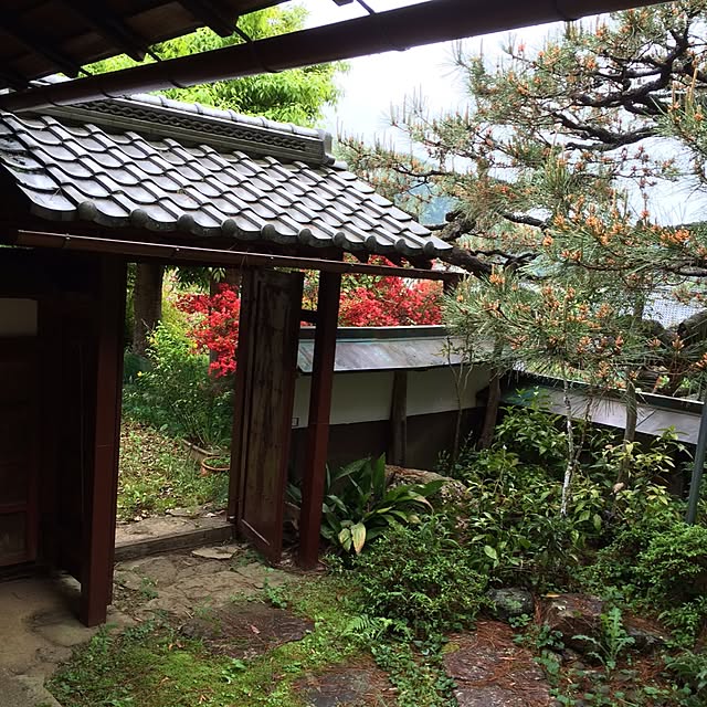 05i683さんの実例写真