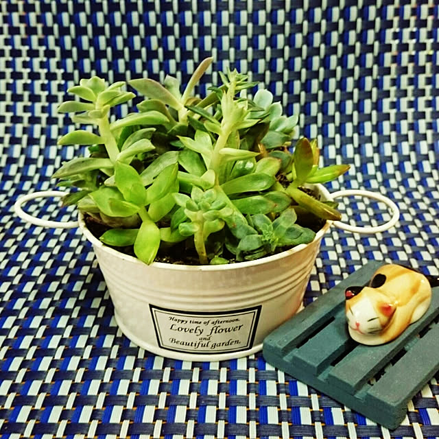 hiro4649さんの実例写真
