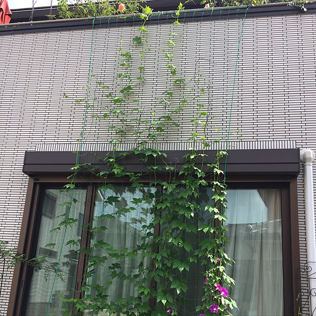 nonさんの実例写真