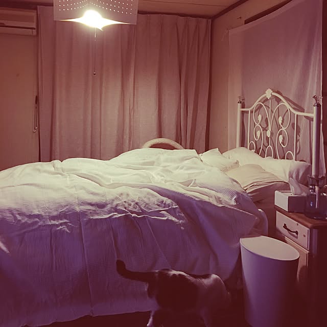 Shihoさんの実例写真