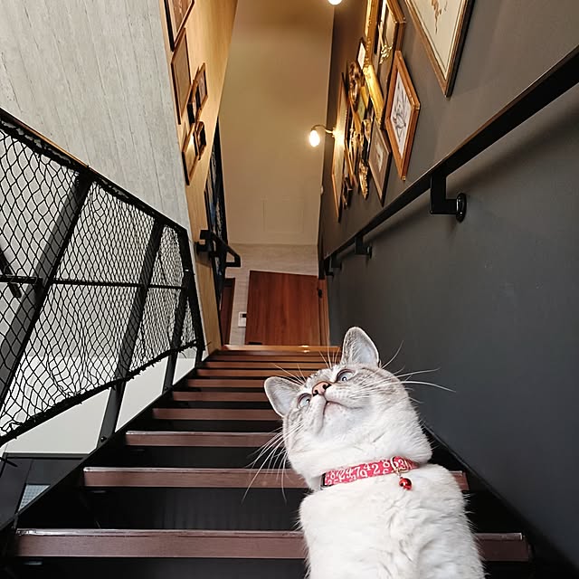 Atelier_tamakiさんの部屋