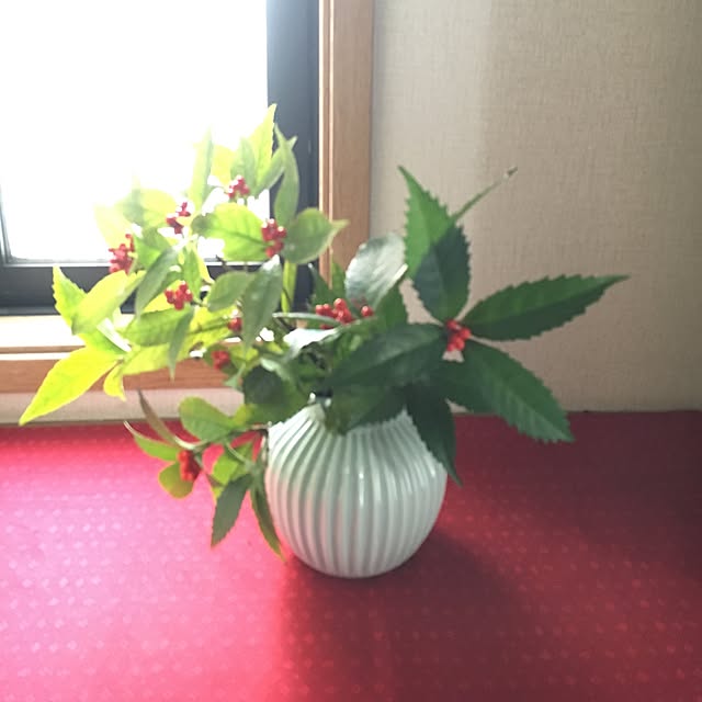 tomoさんの実例写真
