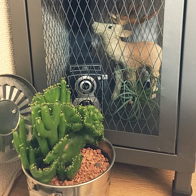 roko.homeさんの実例写真