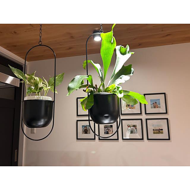 mahoさんの部屋