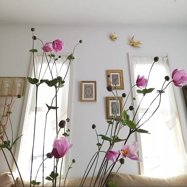 fumitanさんの部屋