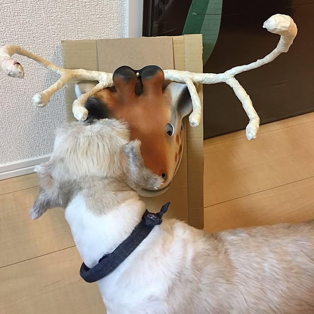 emiさんの実例写真