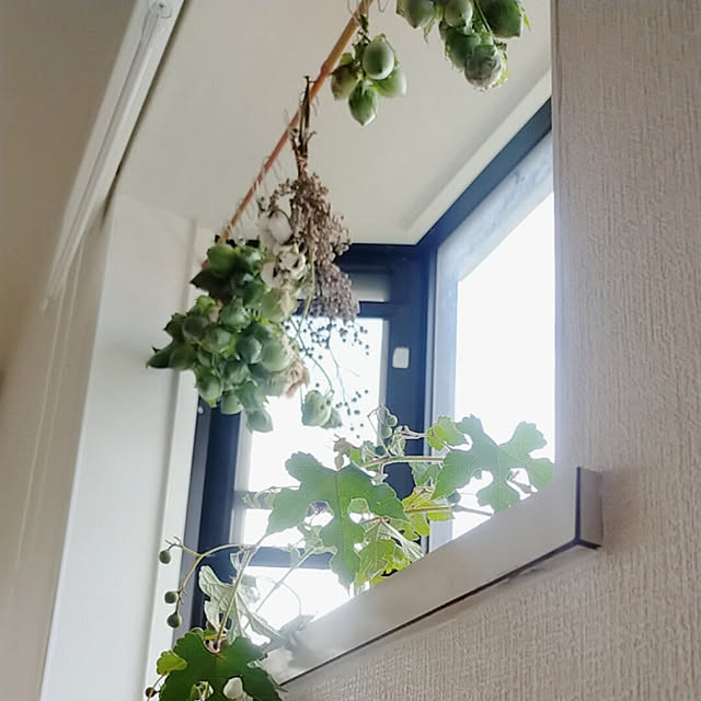 planteaさんの実例写真