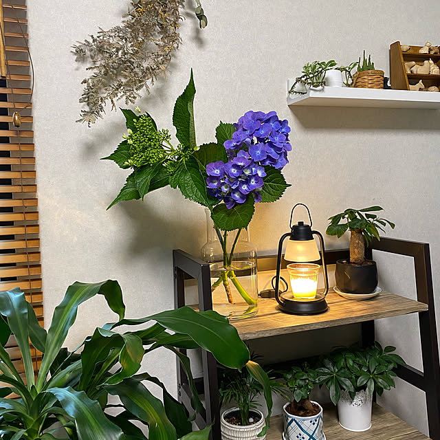birdie0908さんの実例写真