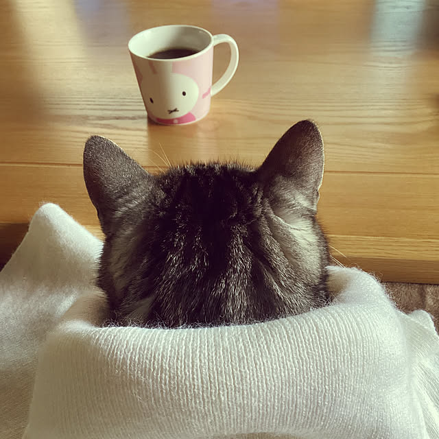 richanさんの部屋