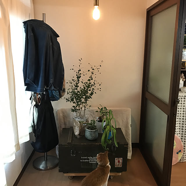 tamaさんの実例写真