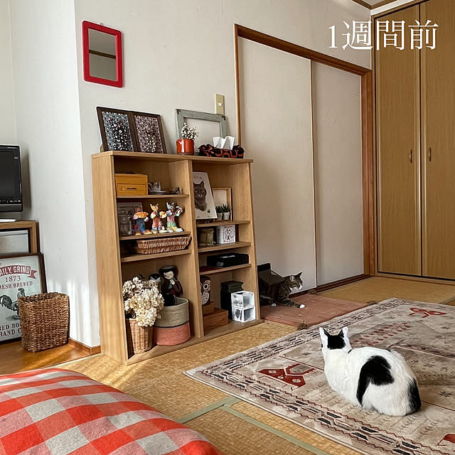 nobikoさんの部屋
