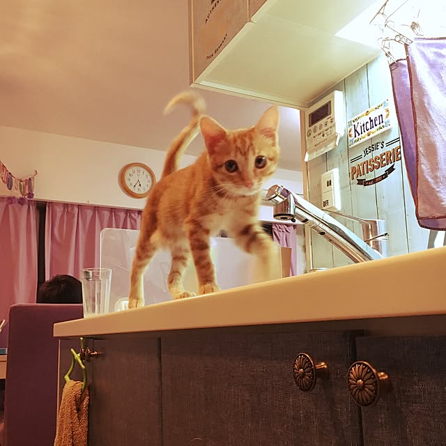 miyamiさんの実例写真
