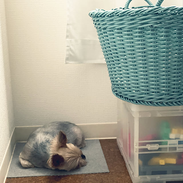 ohanaさんの実例写真