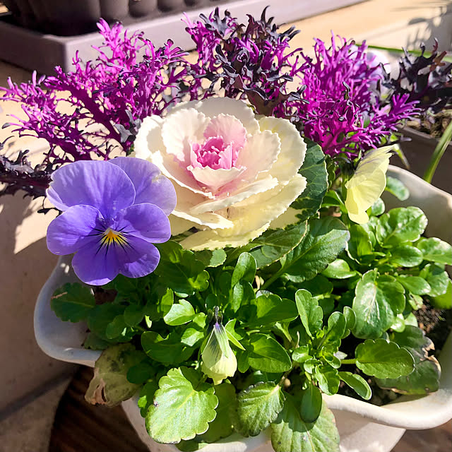 tomoさんの実例写真