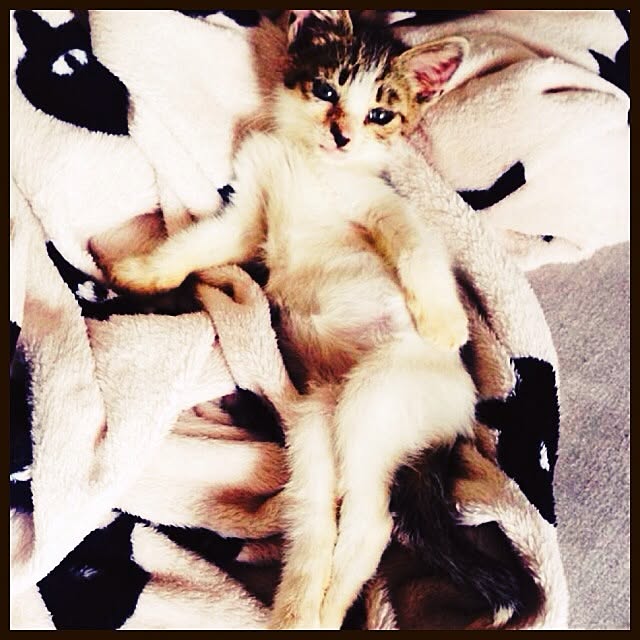 tantanさんの実例写真