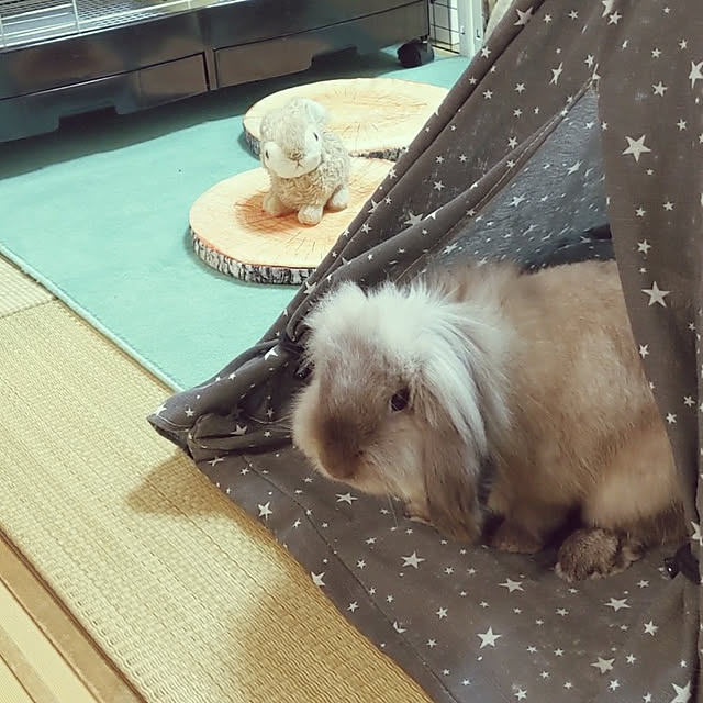 manaさんの実例写真