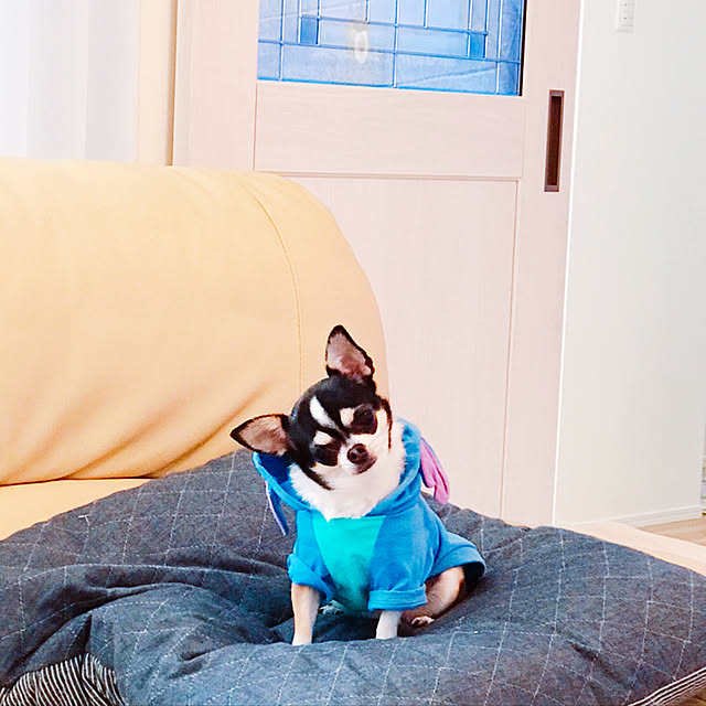 miiさんの実例写真
