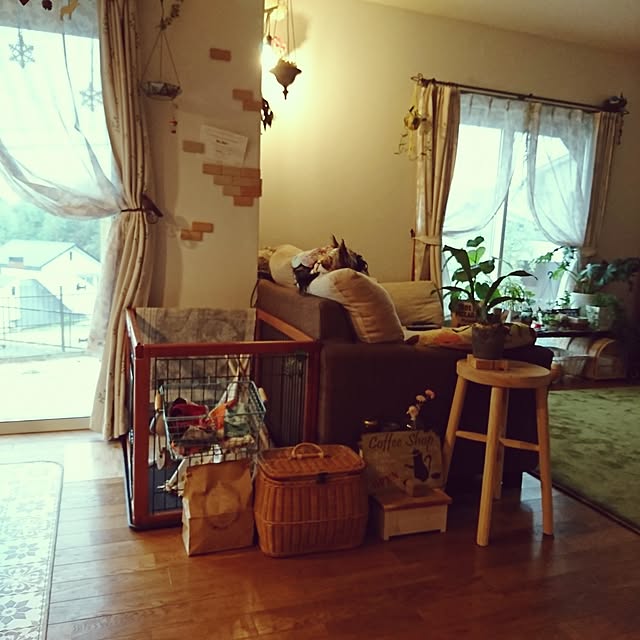 akiさんの実例写真