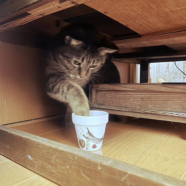 Mさんの部屋
