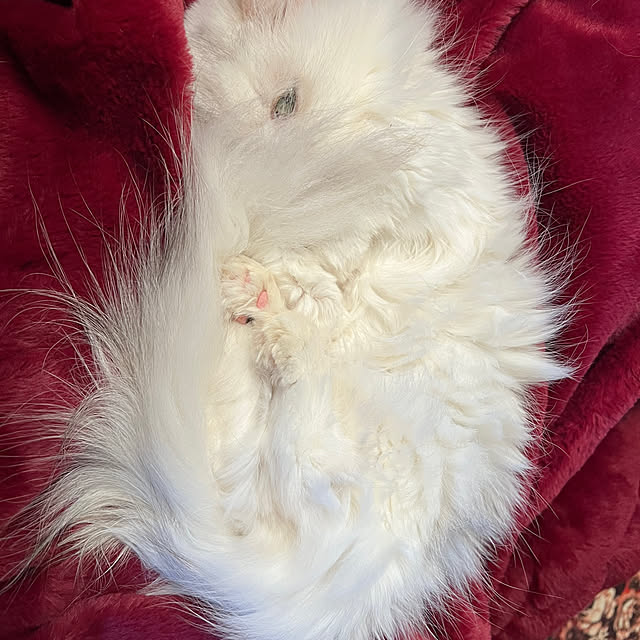 AYUKOさんの部屋