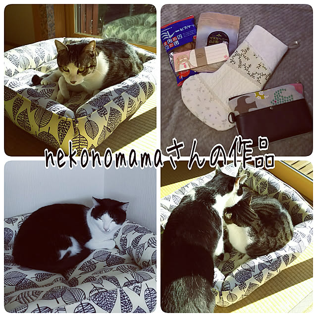 millsukeさんの実例写真
