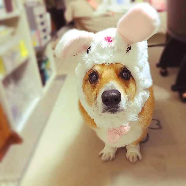 EMIさんの実例写真