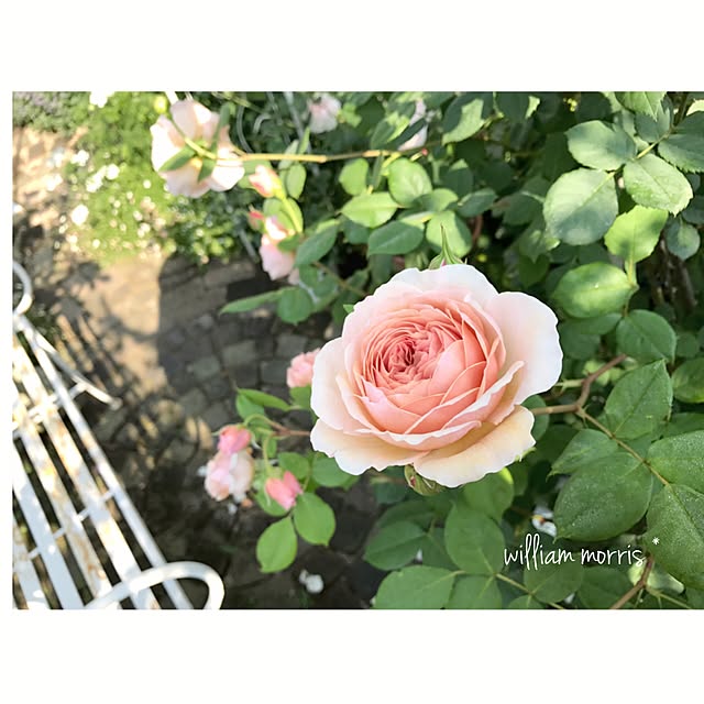 s.mamaさんの実例写真