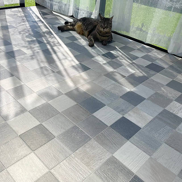 Shinさんの実例写真