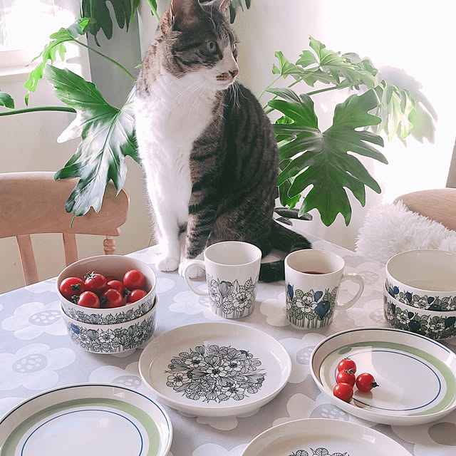 milkcocoaさんの実例写真