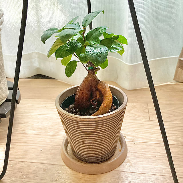 GowBooさんの部屋