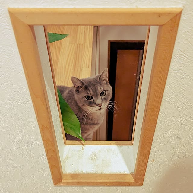 hiroさんの実例写真