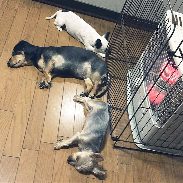 ohanaさんの実例写真