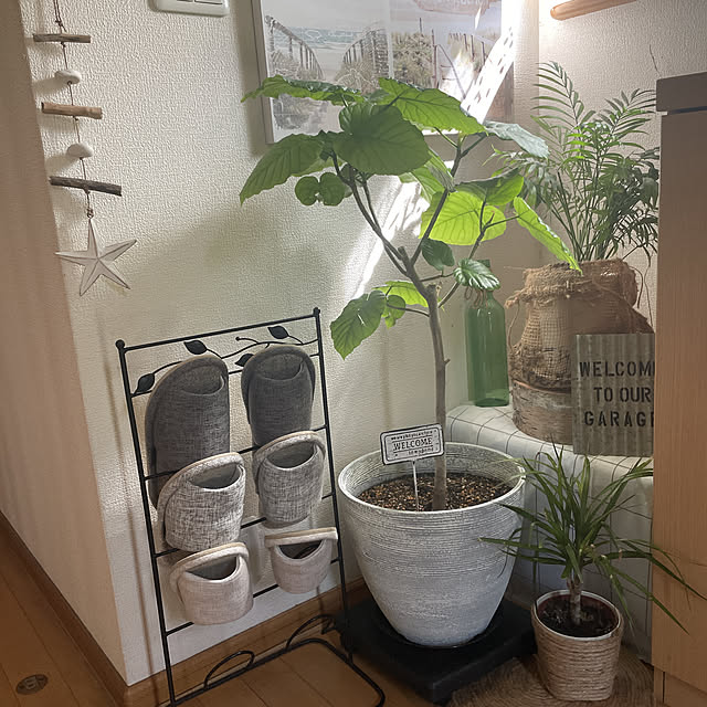 Akiさんの実例写真