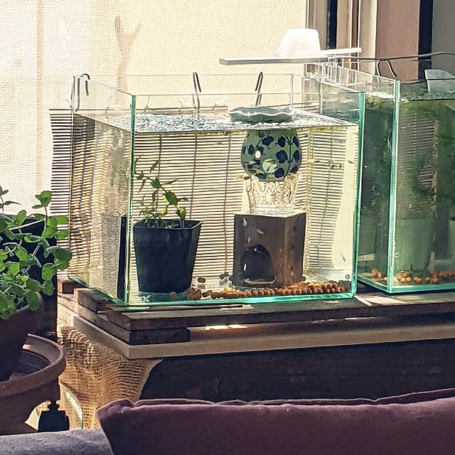 mi-saさんの部屋