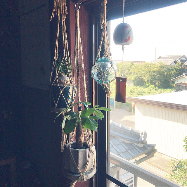 maruさんの実例写真