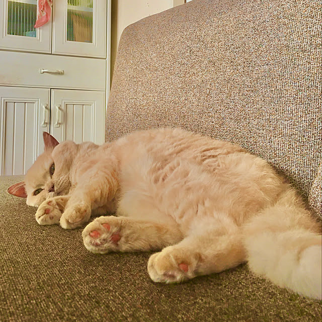 naokoさんの部屋
