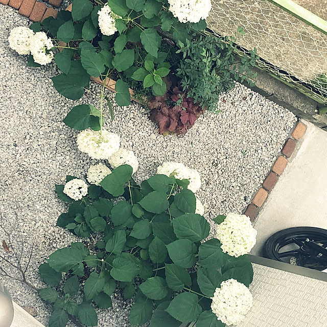 yuyuさんの部屋