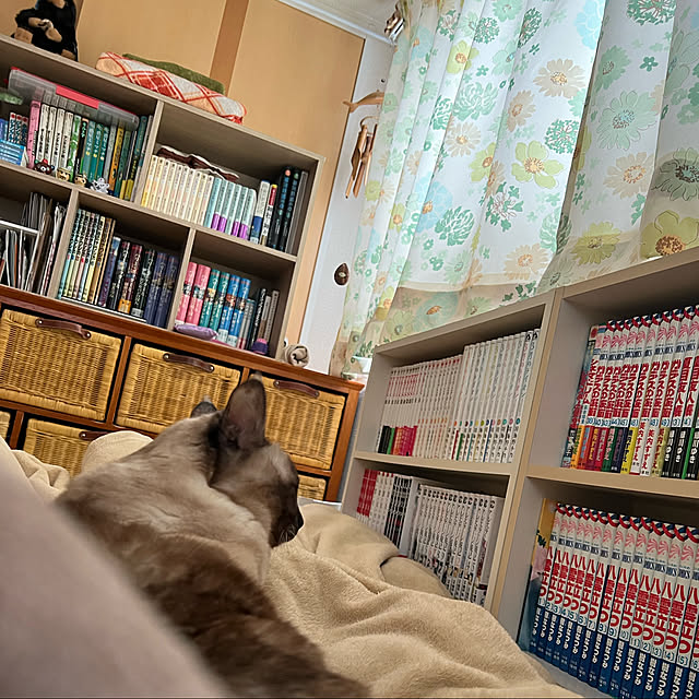 Hikariさんの実例写真