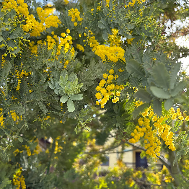 ck202さんの部屋