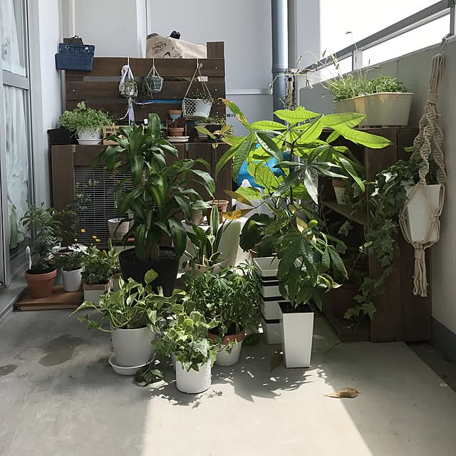 yuccoさんの実例写真