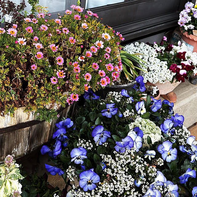 KYONさんの実例写真