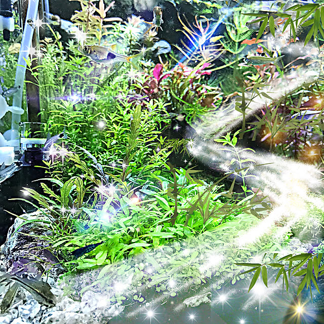 kouta_Co.さんの実例写真