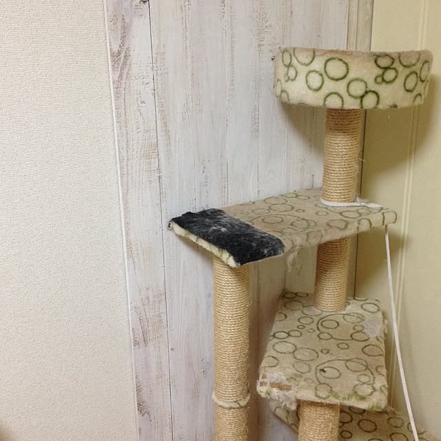 runtenさんの実例写真