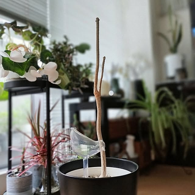 jinさんの部屋