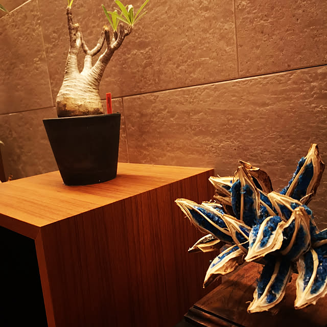 thousandleaf102さんの実例写真