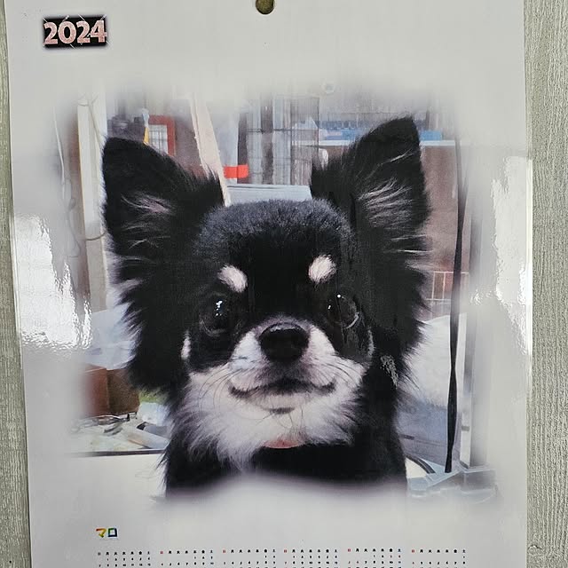 sinさんの部屋